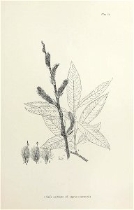 n136_w1150