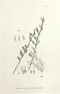 n106_w1150