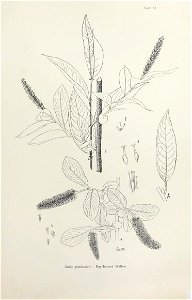 n46_w1150