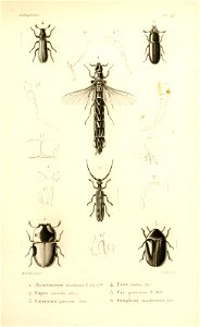 n146_w1150