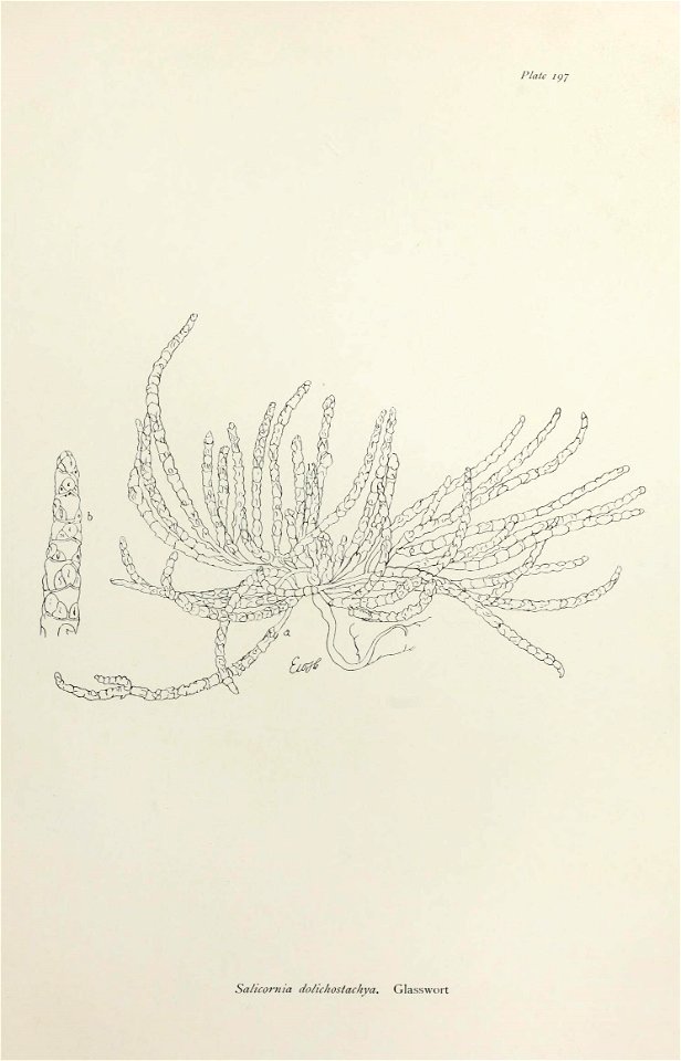 n404_w1150