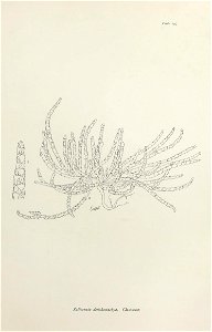 n404_w1150