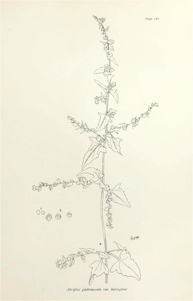 n374_w1150