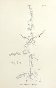 n374_w1150