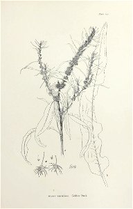 n314_w1150