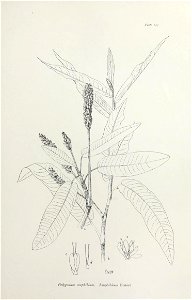 n254_w1150