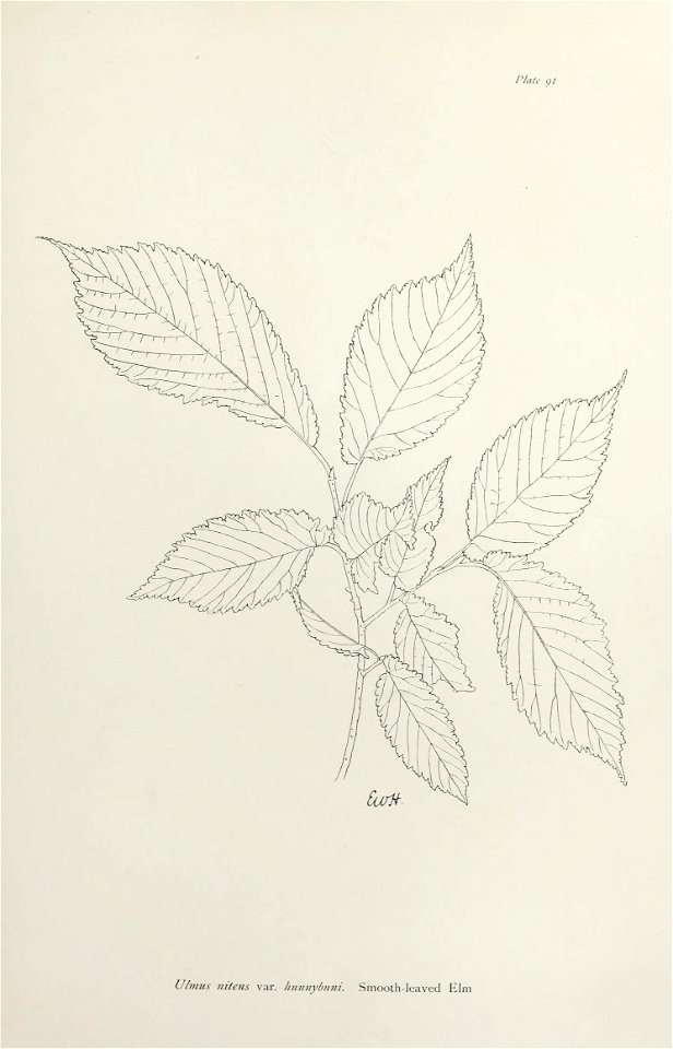 n192_w1150