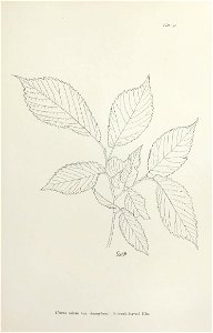 n192_w1150