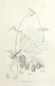 n222_w1150