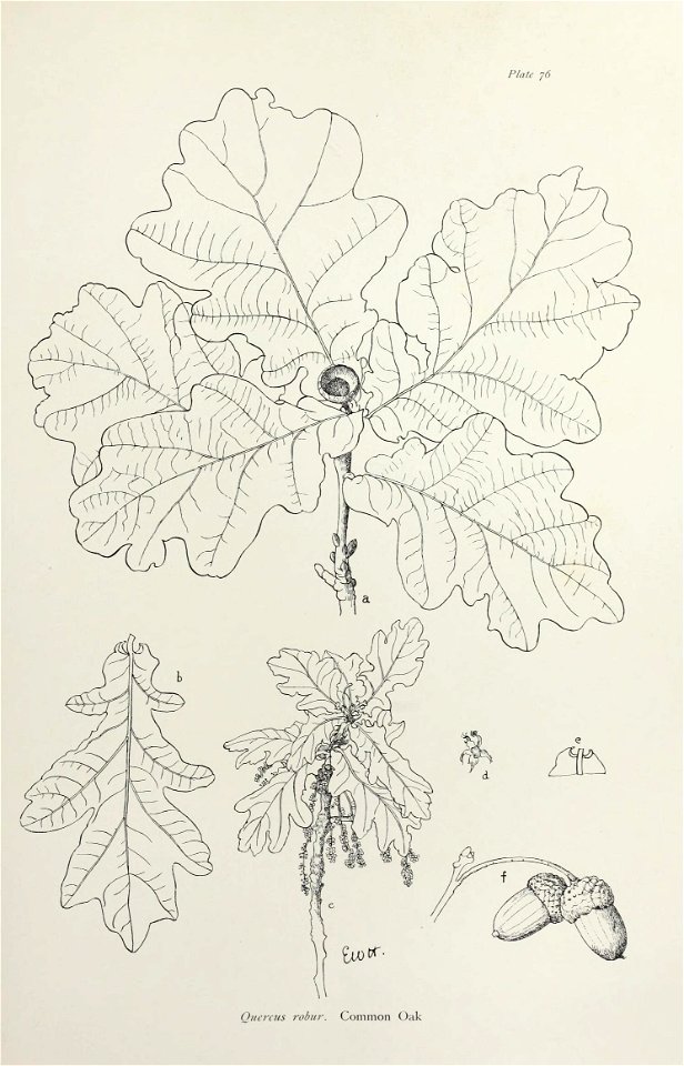 n162_w1150