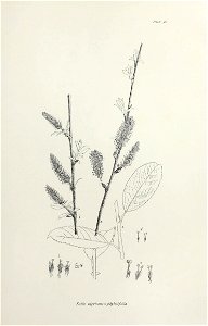 n102_w1150