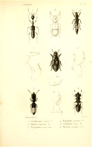 n82_w1150