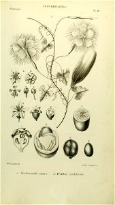 n174_w1150