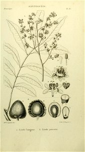 n114_w1150