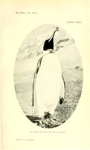 n166_w1150