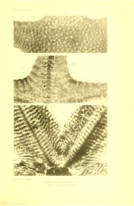 n424_w1150