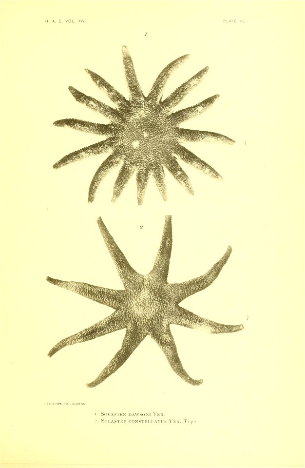 n364_w1150