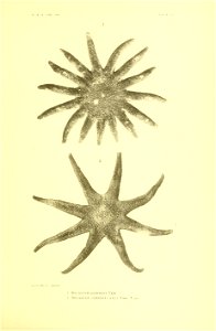 n364_w1150