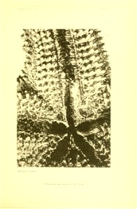 n184_w1150