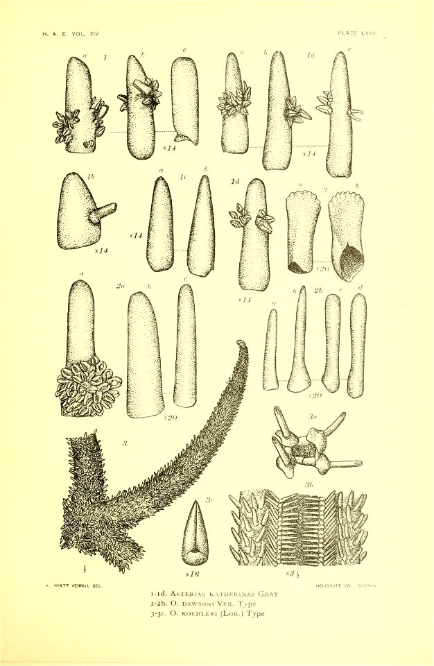 n304_w1150