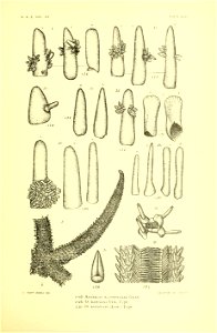 n304_w1150