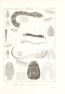 n184_w1150