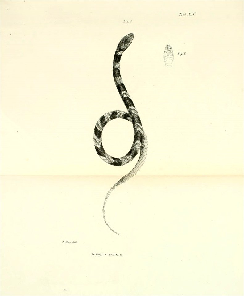 n46_w1150