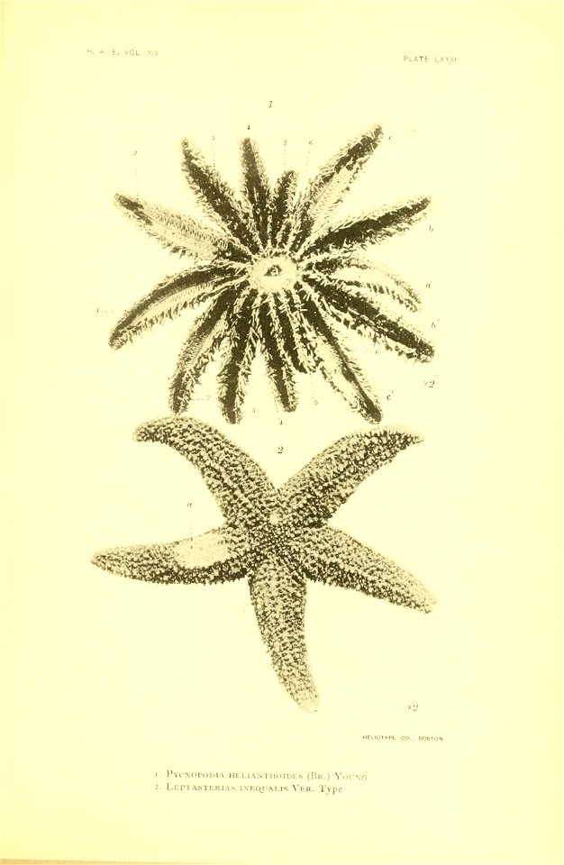 n296_w1150