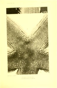 n416_w1150