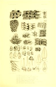 n356_w1150