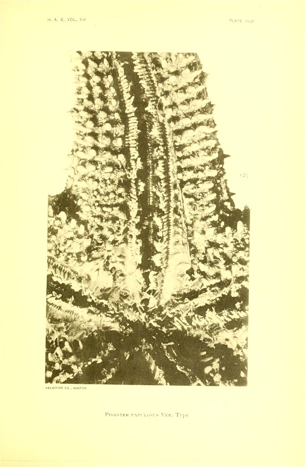 n176_w1150