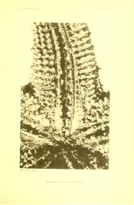 n176_w1150