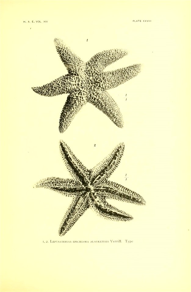 n116_w1150