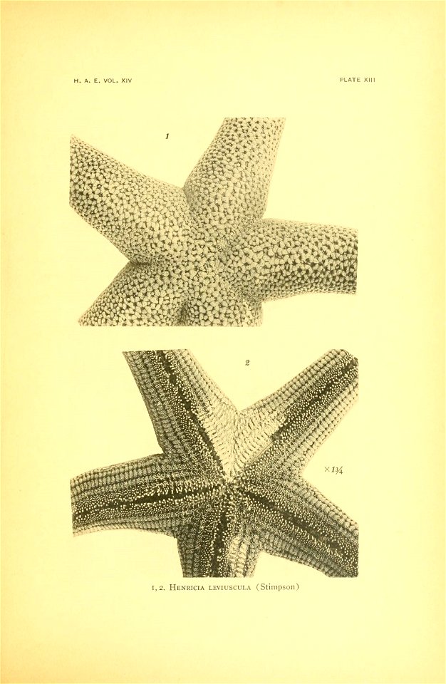n56_w1150