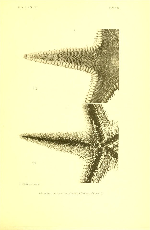 n412_w1150