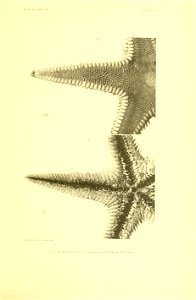 n412_w1150