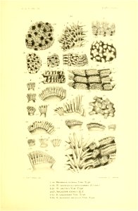 n352_w1150