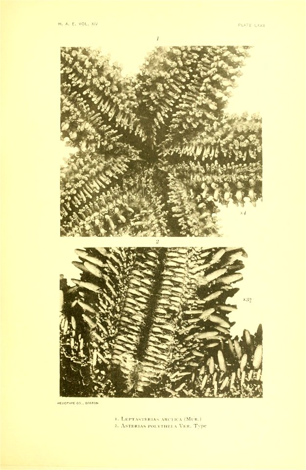 n292_w1150
