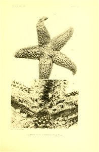 n232_w1150