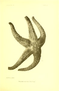 n172_w1150