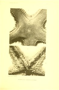 n408_w1150