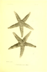 n288_w1150