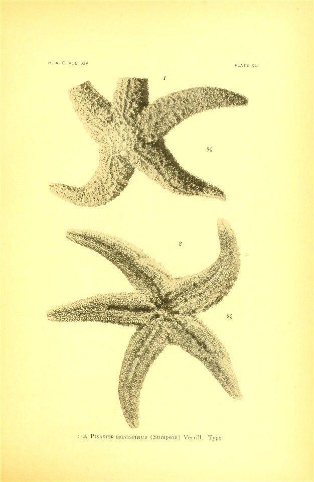 n168_w1150