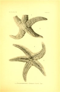n168_w1150
