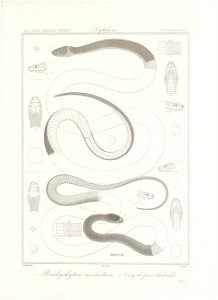 n16_w1150