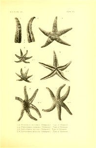 n104_w1150