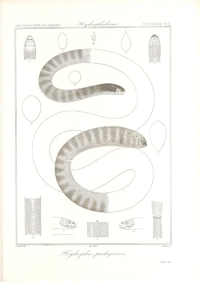 n88_w1150