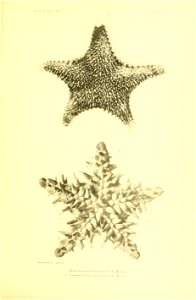 n396_w1150