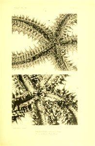 n276_w1150