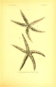 n96_w1150
